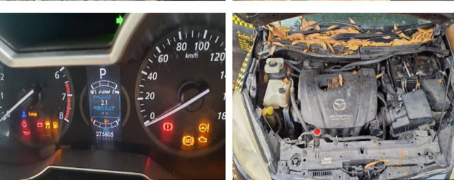 2014 Mazda Permacy Skyactive 20C